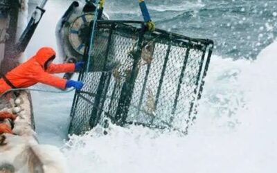 EU Sea Fisheries Social Partners: Advancing Social Sustainability