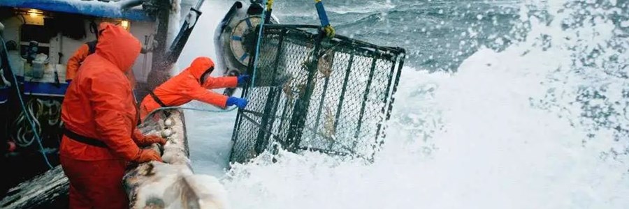 EU Sea Fisheries Social Partners: Advancing Social Sustainability