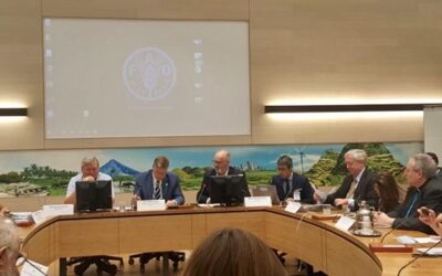 European industry, NGOs and UN agencies call for a socially, environmentally and commercially sustainable fisheries