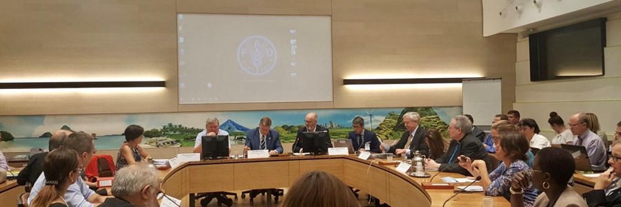 European industry, NGOs and UN agencies call for a socially, environmentally and commercially sustainable fisheries
