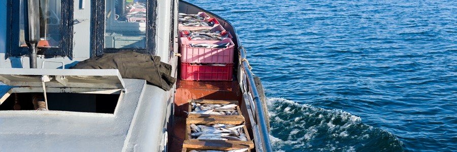 The fishing sector joins forces with the international community to call for wide ratification of ILO C188